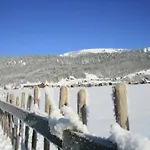 In Near Slopes *