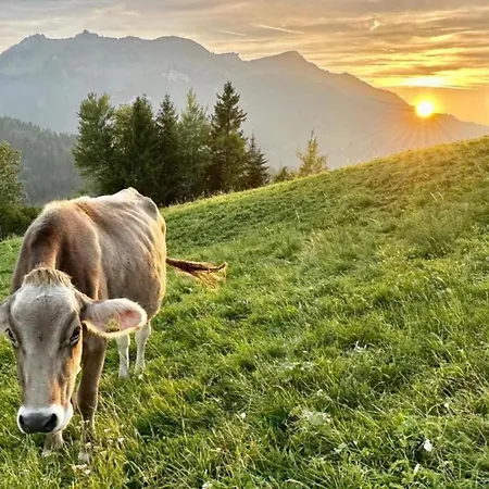 In Sibratsgf Ll In The Bregenzerwald *