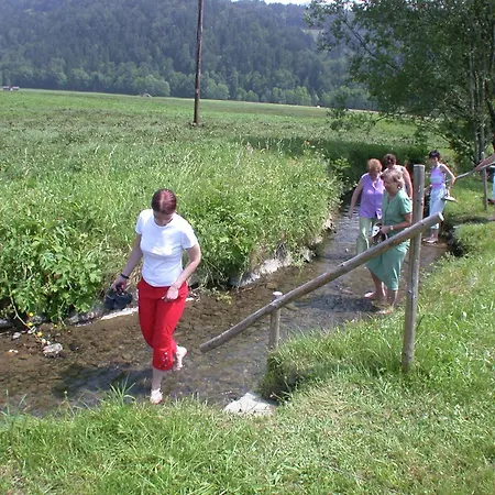 Alpehytte In Near Slopes *