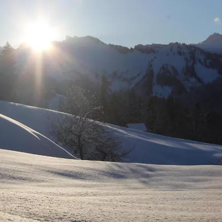 Chalet In Near Slopes