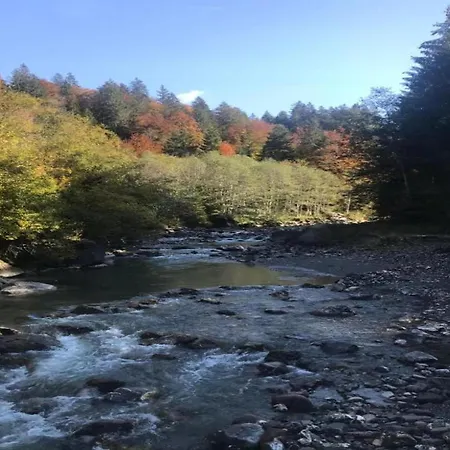 In Near Slopes Sibratsgfall