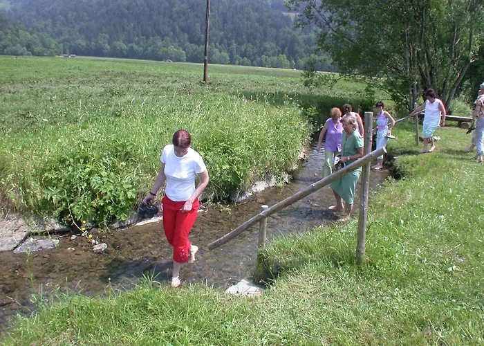 Chalet In Near Slopes *