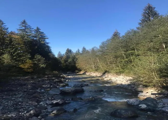 Chalet In Near Slopes Sibratsgfall